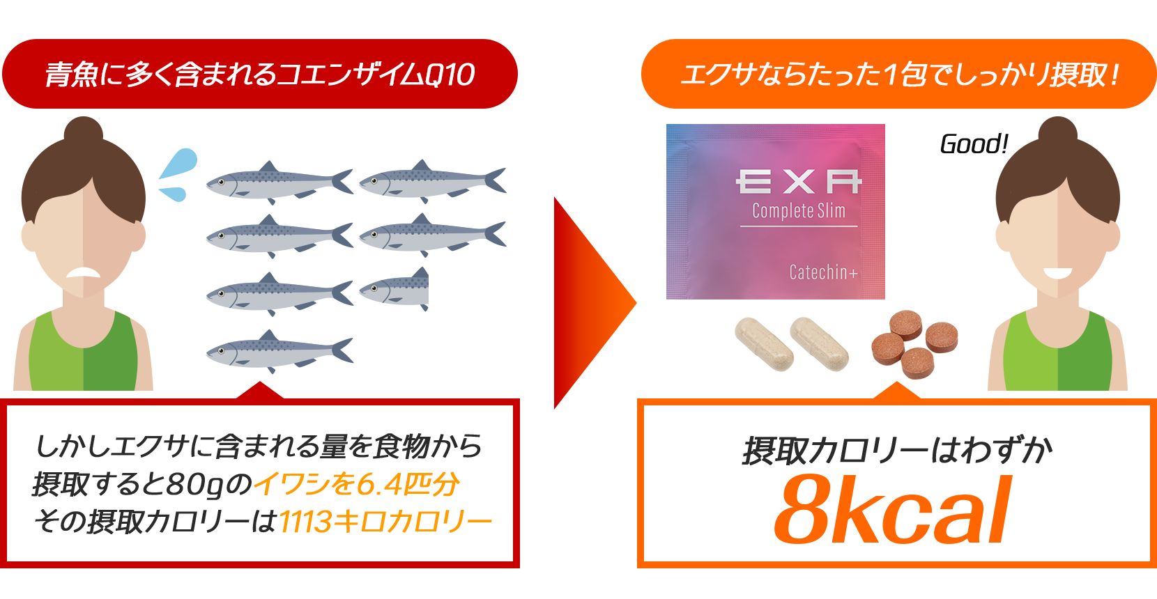 コエンザイムQ10を摂取するには